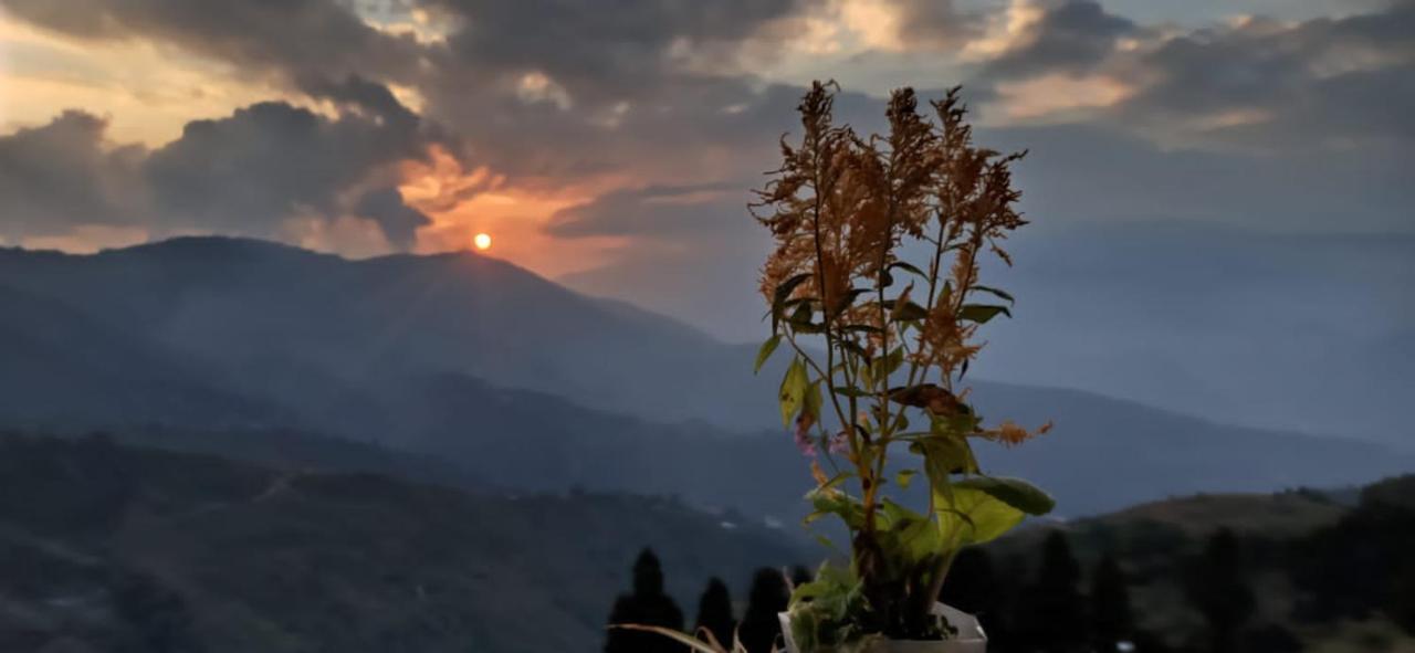 Valley View Homestay دارجيلنغ المظهر الخارجي الصورة